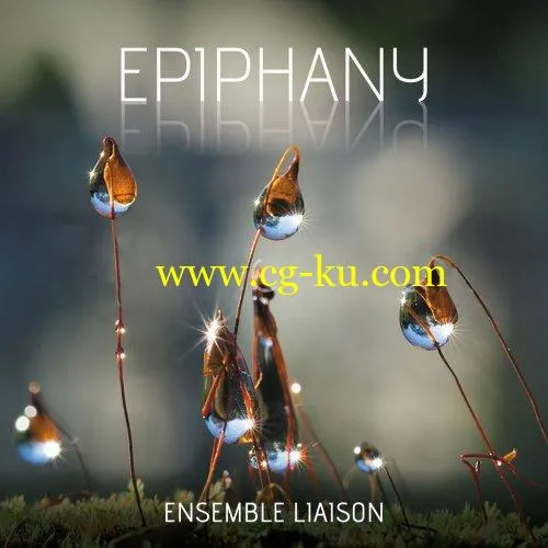 Ensemble Liaison – Epiphany (2019) FLAC的图片1