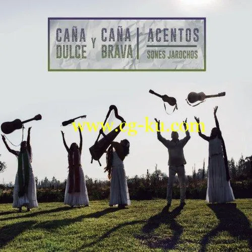 Caa Dulce y Caa Brava – Acentos (Sones Jarochos) (2019) FLAC的图片1