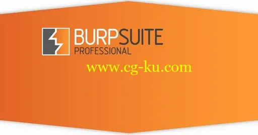 Burp Suite Professional 2.1.04的图片1