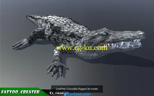 CGTrader – Lowpoly Wild Animals Rigged 3D models Collection Pack的图片4