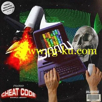 Pilgrim Cheat Codes (Sample Library) WAV的图片1