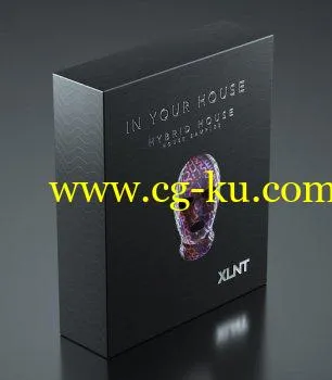 XLNTSOUND In Your House MULTiFORMAT-DECiBEL的图片1