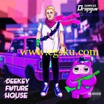 Dropgun Samples Deekey Future House SERUM SPiRE SYLENTH1 MASSIVE PRESETS的图片1