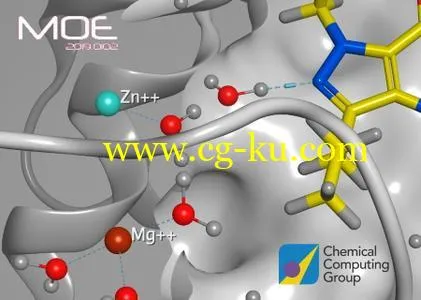 Molecular Operating Environment (MOE) 2019.0102的图片1