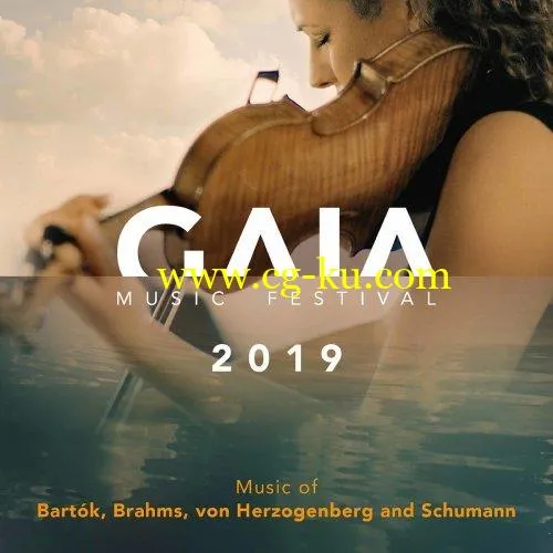 Simon Bucher – GAIA Music Festival 2019 (Live) (2019) FLAC的图片1