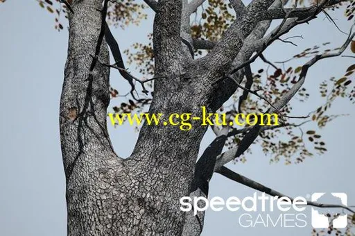 SpeedTree Games Indie 8.4.2 x64的图片1