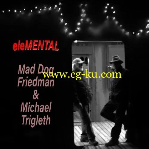 Mad Dog Friedman – Elemental (2019) FLAC的图片1