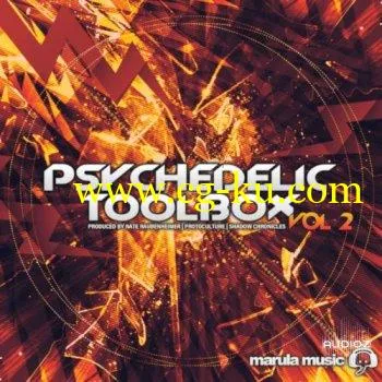 Black Octopus Sound Psychedelic Toolbox Vol 2 by Marula Music WAV Serum-DECiBEL的图片1