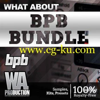 WA Production BPB Bundle Future Bass Pop Synthwave WAV MiDi XFER SERUM PRESETS的图片1