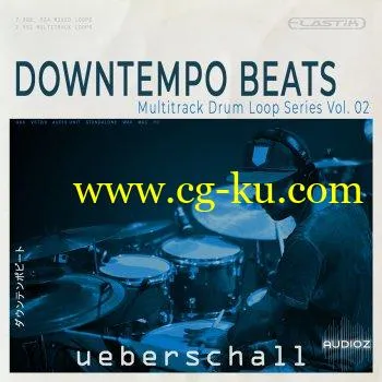 Ueberschall Downtempo Beats ELASTIK的图片1