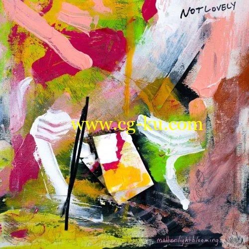 Not Lovely – Matterlightblooming (2019) FLAC的图片1