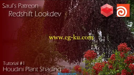 Patreon – Redshift + Houdini Plant Lookdev的图片1