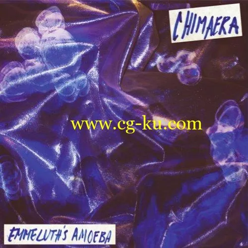 Emmeluth’s Amoeba – Chimaera (2019) FLAC的图片1