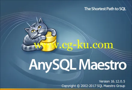 AnySQL Maestro Pro 16.12.0.10 Multilingual的图片1