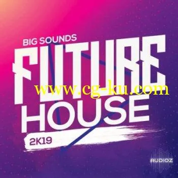 Big Sounds Future House 2K19 WAV MIDi Serum Presets的图片1