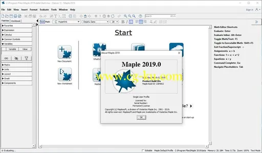 Maplesoft Maple 2019.2 x64的图片1