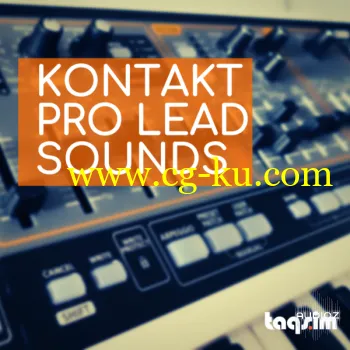 TAQS.IM Kontakt Pro Lead Sounds KONTAKT-DECiBEL的图片1