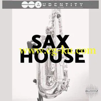 Audentity Records Sax House WAV MiDi的图片1