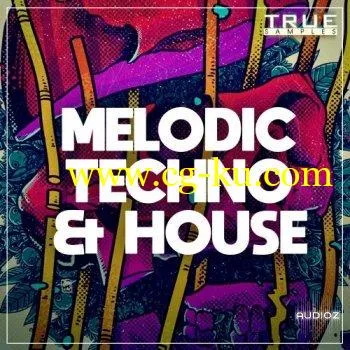 True Samples – Melodic Techno & House WAV MIDi Spire的图片1