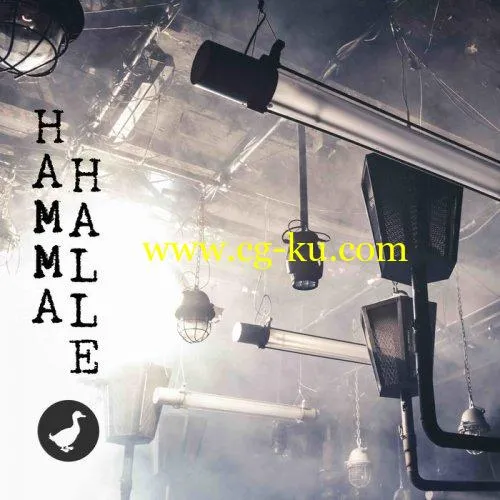 VA – HAMMAHALLE (2019) FLAC的图片1