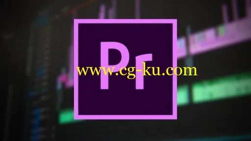 Premiere Pro CC: The Ultimate Video Editing Online Course的图片1