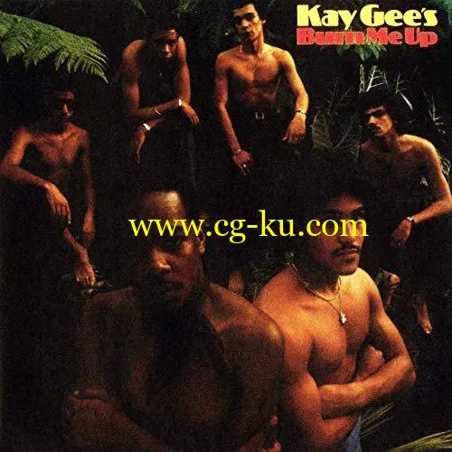 The Kay-Gees – Burn Me Up (Expanded Version) (1979/2019) FLAC的图片1