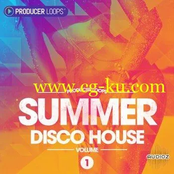 Producer Loops – Summer Disco House Vol 1 WAV MiDi的图片1