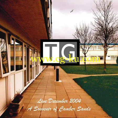 Throbbing Gristle – A Souvenir Of Camber Sands (2004/2019) FLAC的图片1