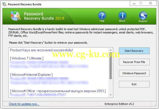 Password Recovery Bundle 2019 Enterprise / Professional 5.2的图片1