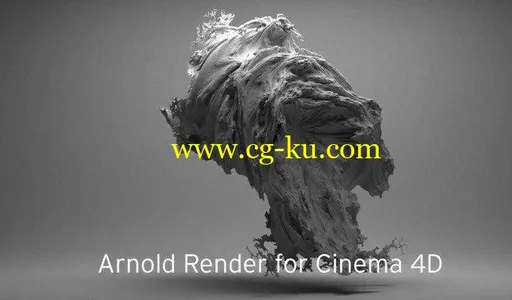 Solid Angle Cinema4D To Arnold 3.0.1 for Cinema4D的图片1