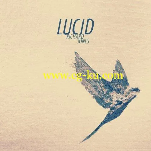 Richard Jones – Lucid (2019) FLAC的图片1