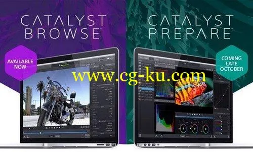 Sony Catalyst Browse Suite 2019.2的图片1