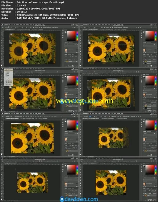 Photoshop: Tips and Quick Fixes的图片1