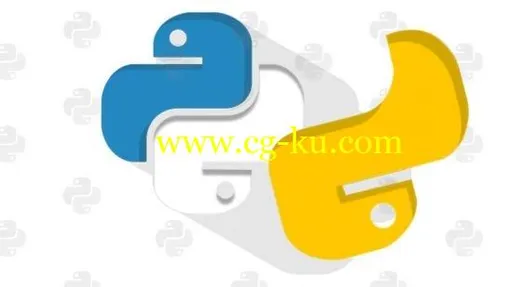 Learn the 2020 Advanced Python Programming的图片1