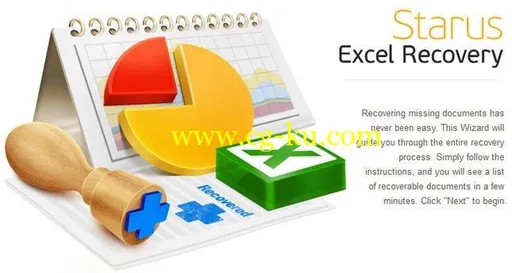 Starus Excel Recovery 2.7 Multilingual的图片1