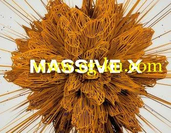 Native Instruments Massive X v1.2.0 AU VST + Massive X Factory Library v1.2.0 MacOSX的图片1