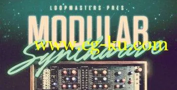 Loopmasters Modular Synthwave MULTIFORMAT的图片1