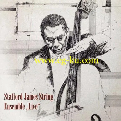 Stafford James – Stafford James String Ensemble (Live) (2019) FLAC的图片1