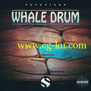 Soundiron Whale Drum v2.0 KONTAKT的图片1