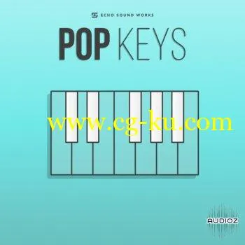 Echo Sound Works Pop Keys KONTAKT MERRY XMAS的图片1