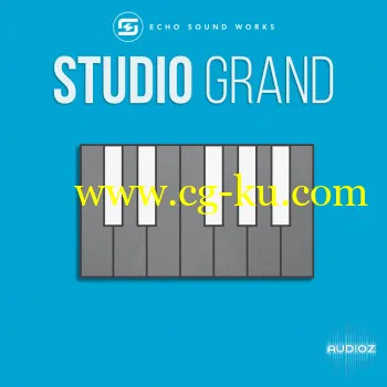 Echo Sound Works Studio Grand KONTAKT MERRY XMAS的图片1