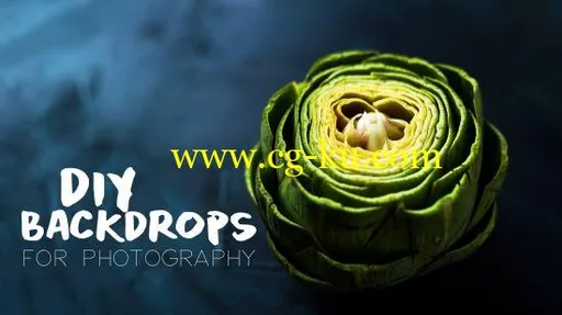 DIY Backdrops II: Custom Photography Textures的图片2