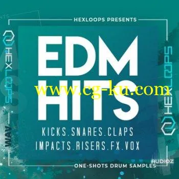 Hexloops EDM Hits WAV MiDi MERRY XMAS的图片1