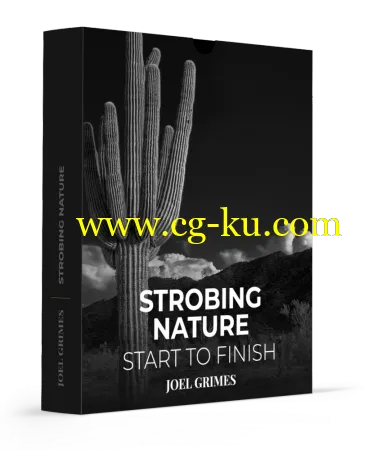 Strobing Nature – Start to Finish的图片1