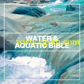 Blastwave FX – Water and Aquatic Bible WAV的图片1