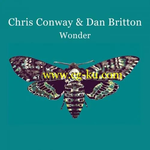 Chris Conway & Dan Britton – Wonder (2020) flac的图片1