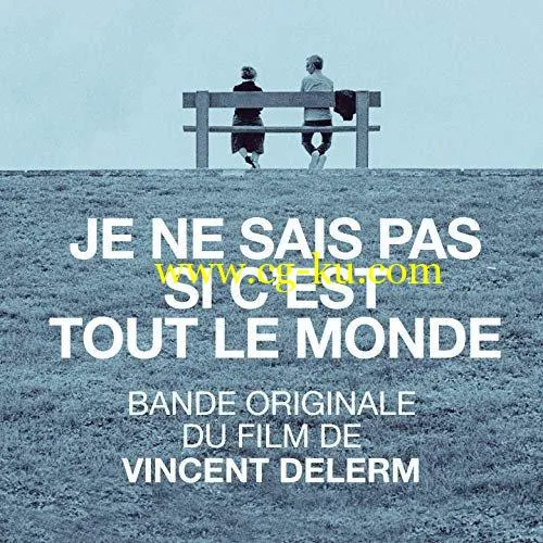 Vincent Delerm – Je ne sais pas si c’est tout le monde (2020) FLAC的图片1