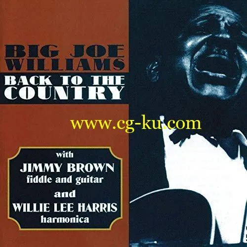 Big Joe Williams – Back To The Country (1964/2020) FLAC的图片1