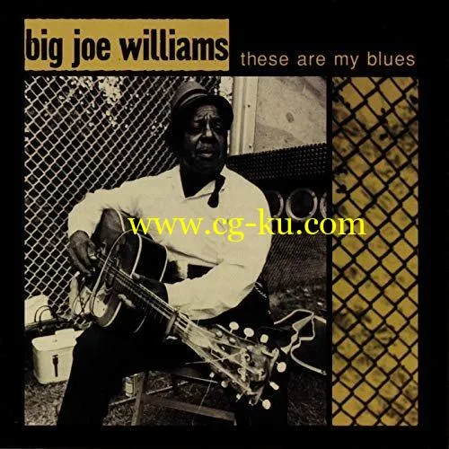 Big Joe Williams – These Are My Blues (Live) (1998/2020) FLAC的图片1