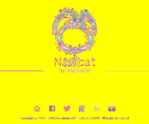 Navicat for MariaDB 15.0.8的图片1